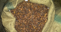 Gallery Item 9